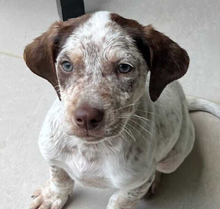 Photo of Baby Petey