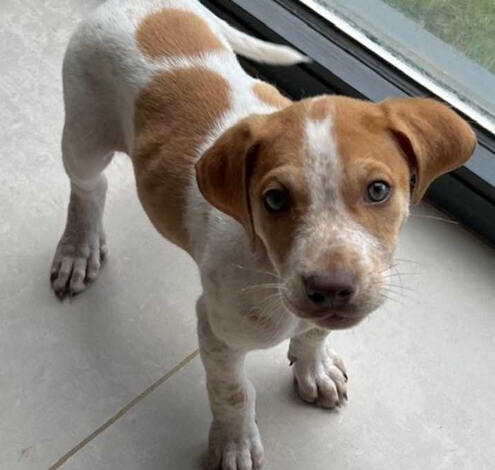 Photo of Baby Charley