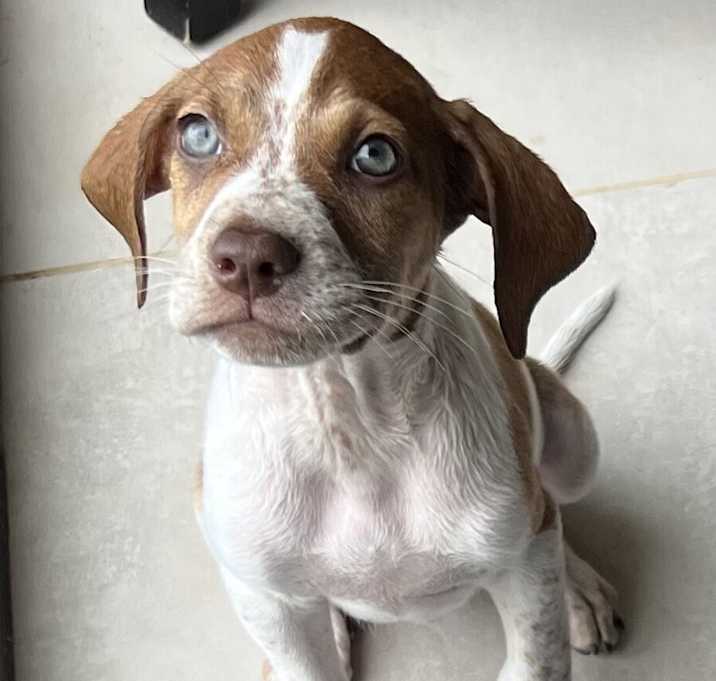 Photo of Baby Farley