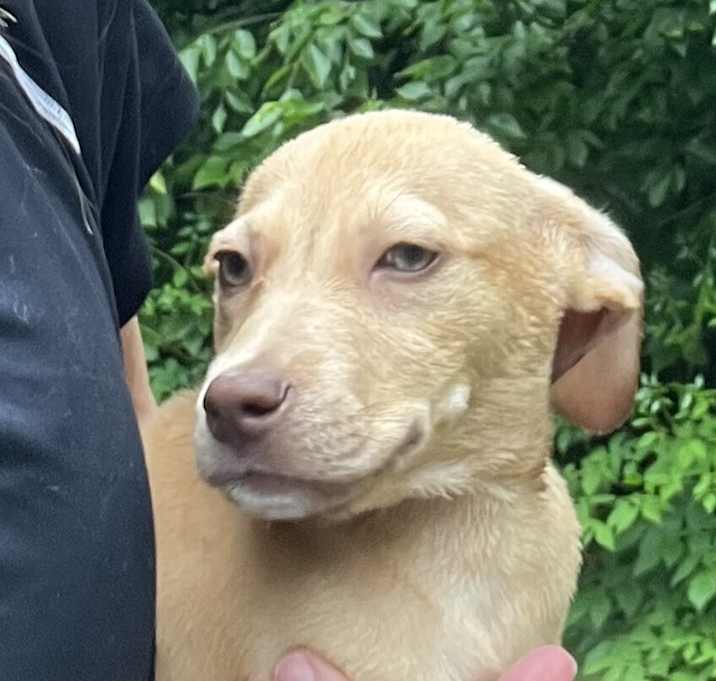 Photo of Baby Cassiopeia