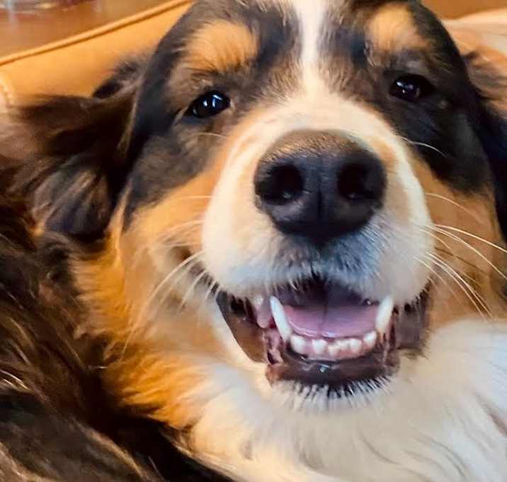 Photo of Reggie