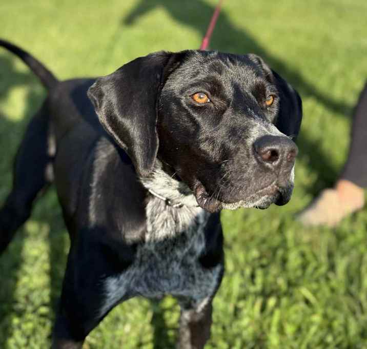 Photo of Dakota