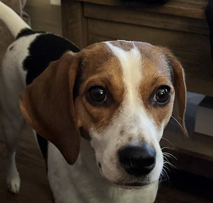 Photo of Lola