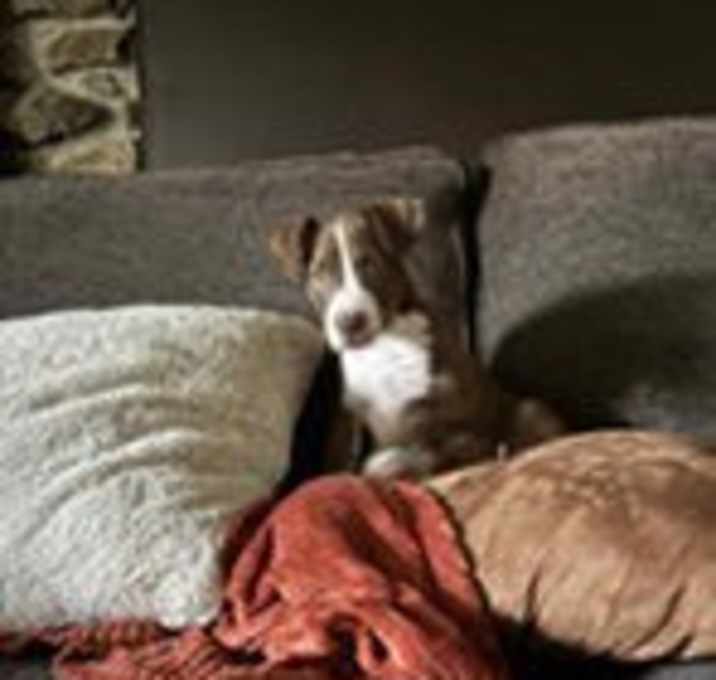 Photo of Aiden
