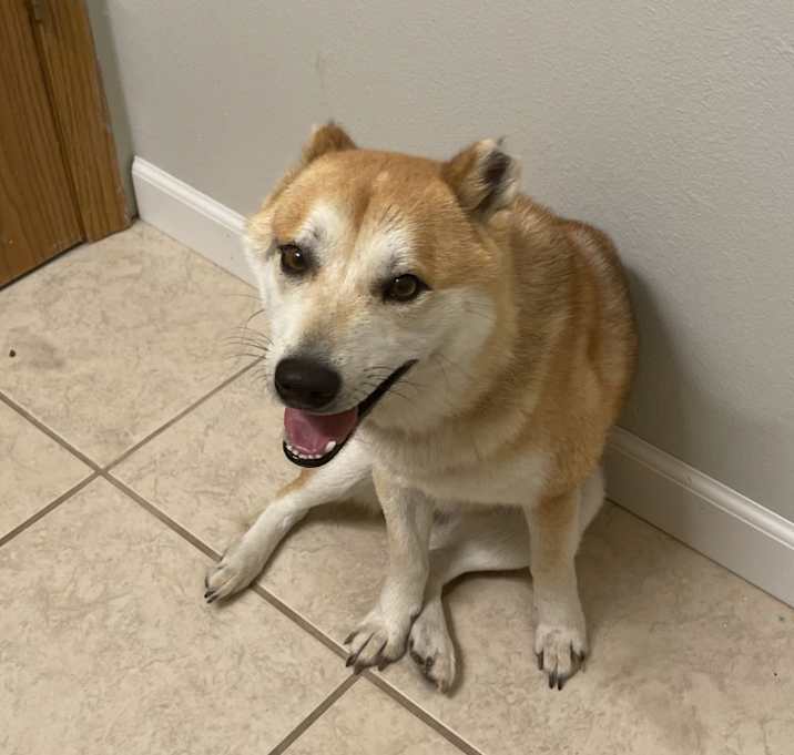 Photo of Butters