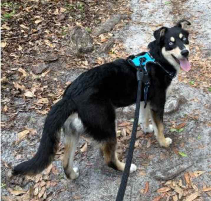 Photo of Captain