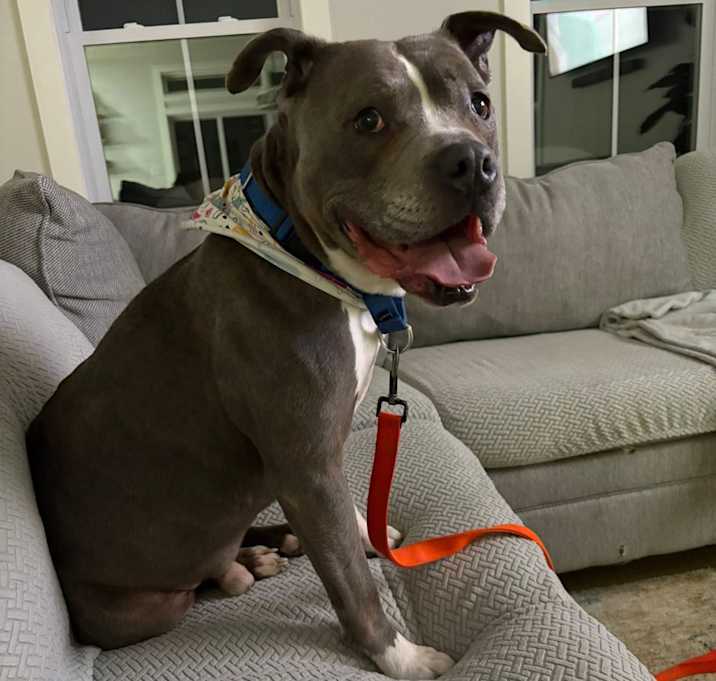 Photo of Jax