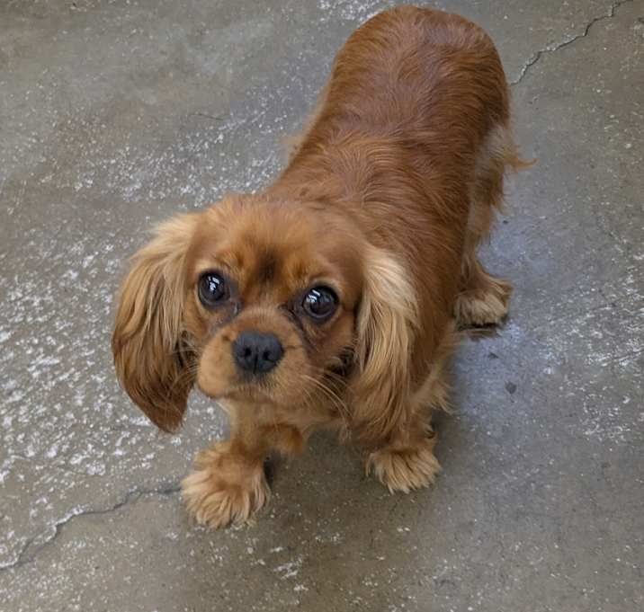 Photo of Marlo