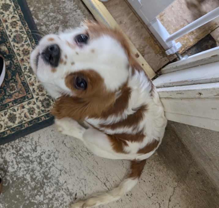 Photo of Sam