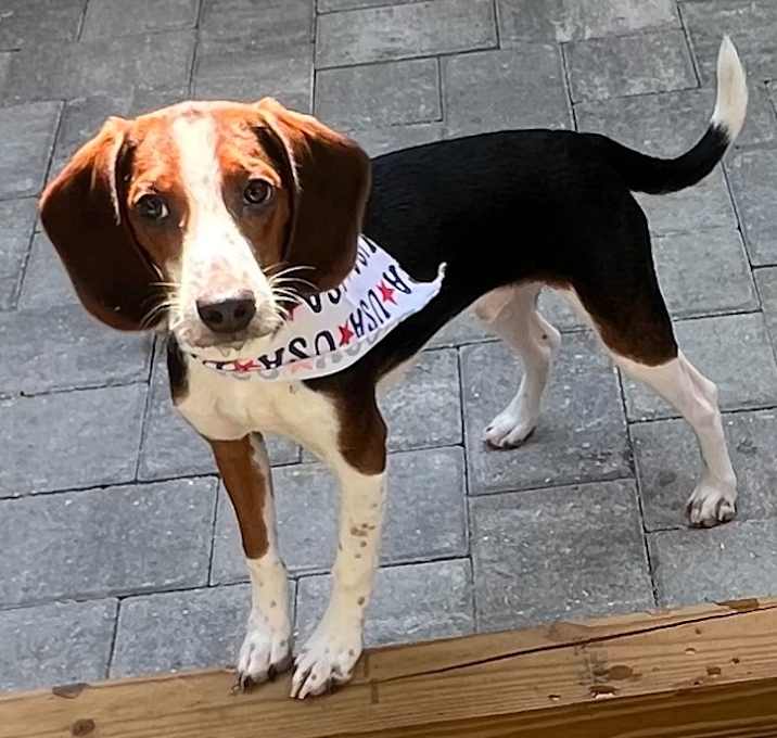 Photo of Tucker
