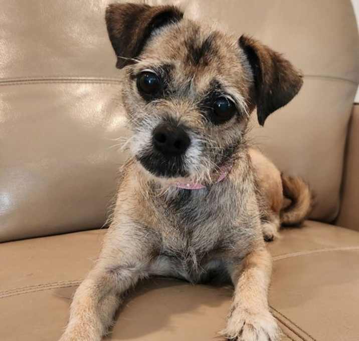Photo of Lilly