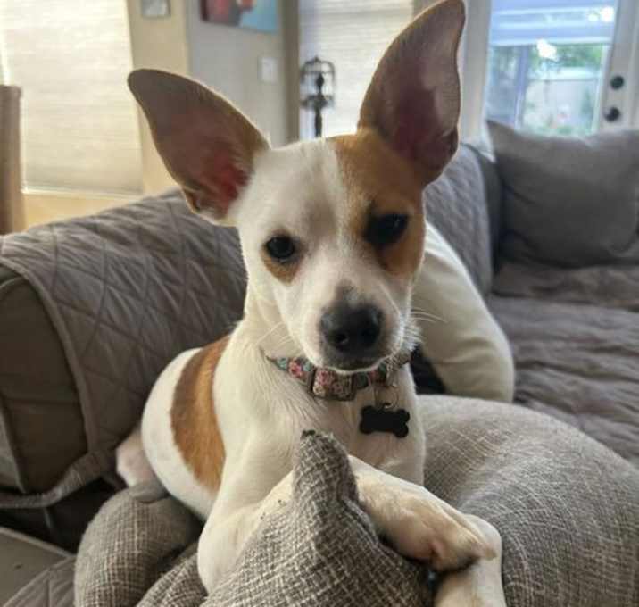 Photo of Jack