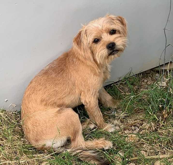 Photo of Jameson