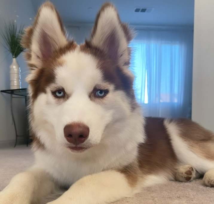 Photo of Kylo