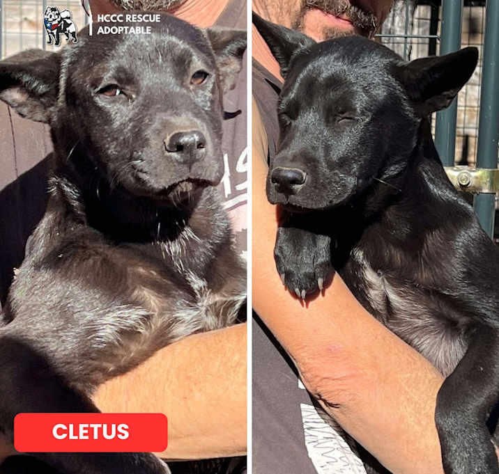 Photo of Cletus