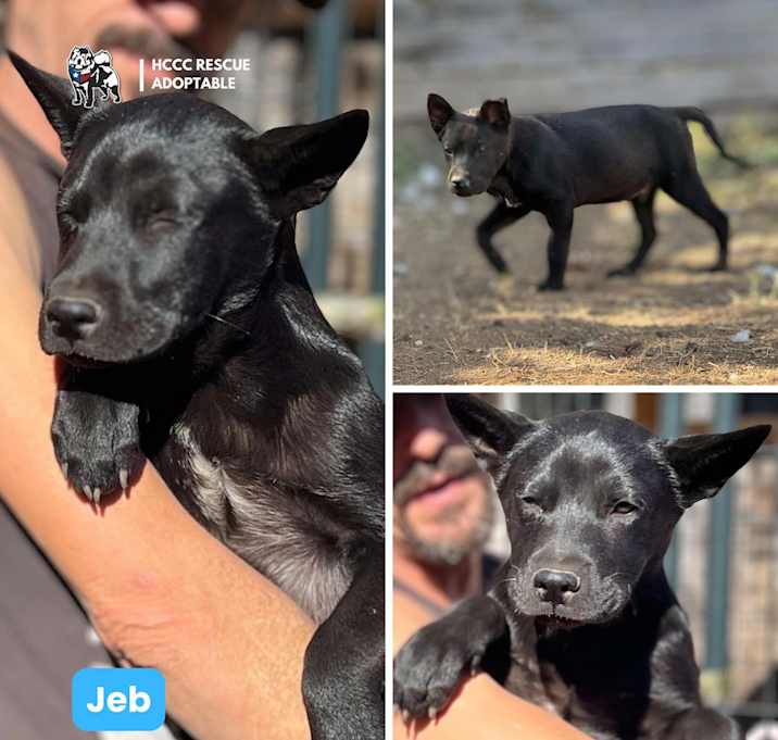 Photo of Jeb