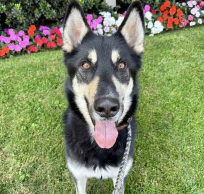 Photo of BLAZE