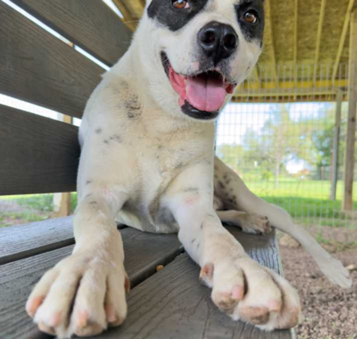 Photo of Winston