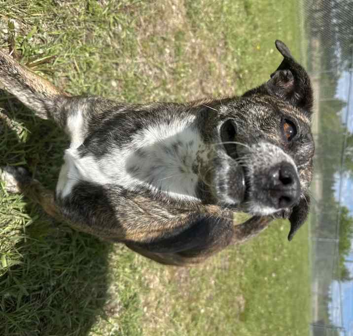 Photo of Clementine