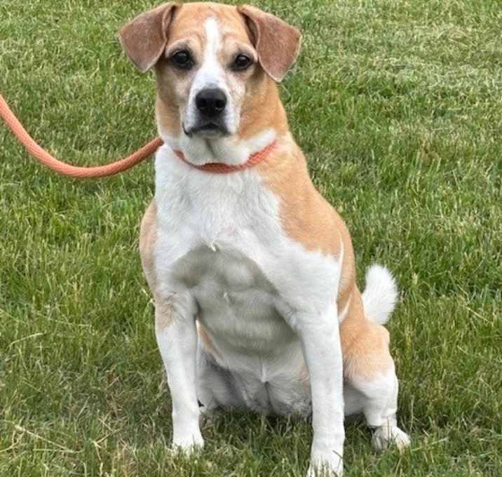 Photo of Shelby