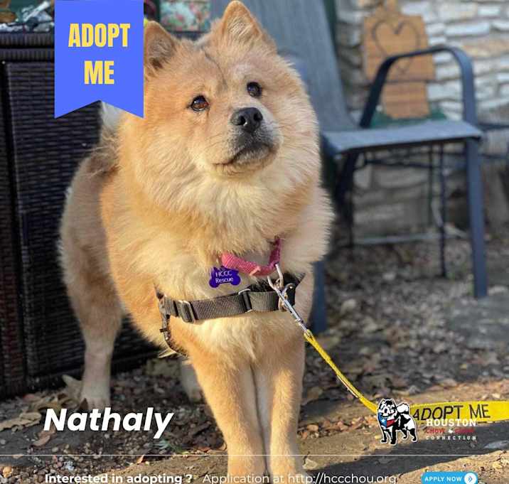 Photo of Nathaly