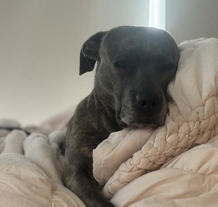 Photo of Blue