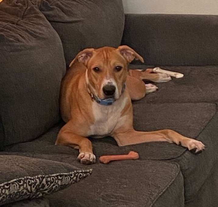 Photo of Jess