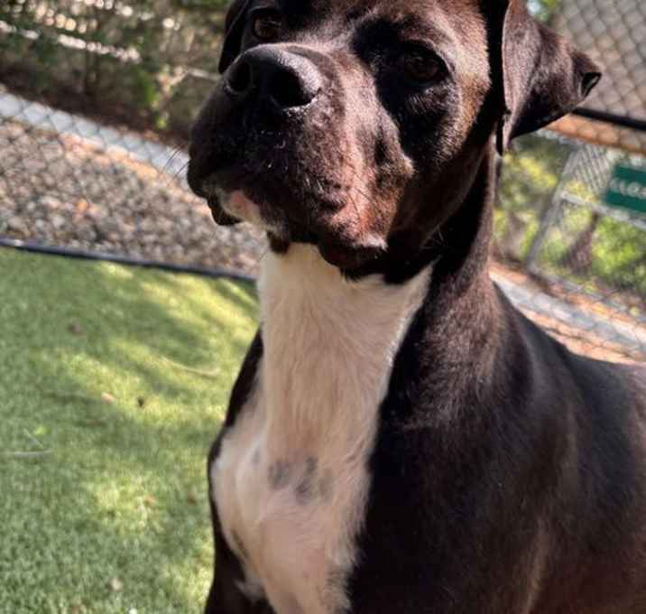 Photo of Minnie