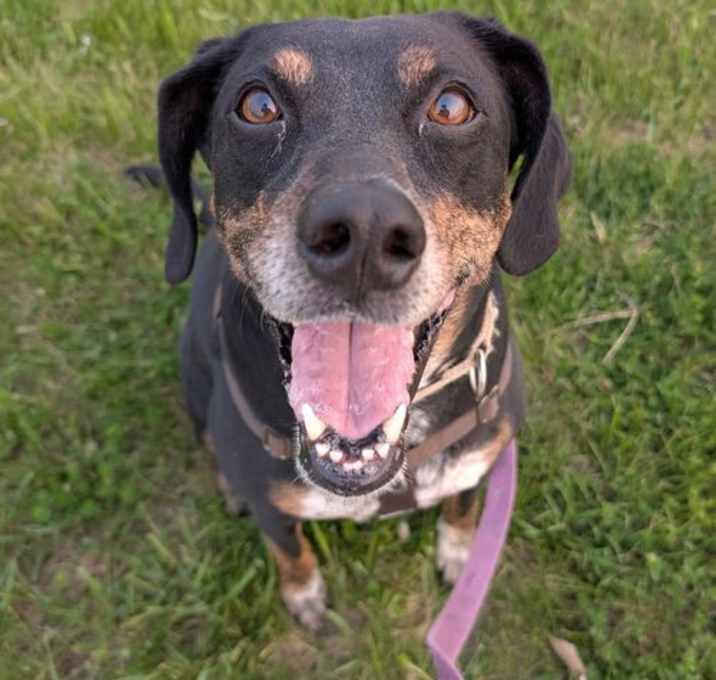 Photo of Bonnie June