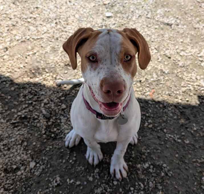 Photo of Windy