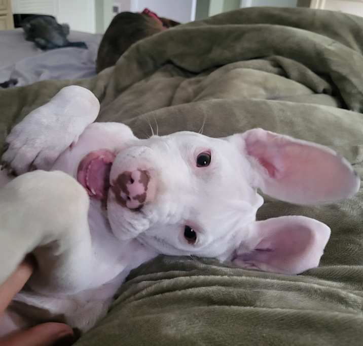 Photo of Jessie