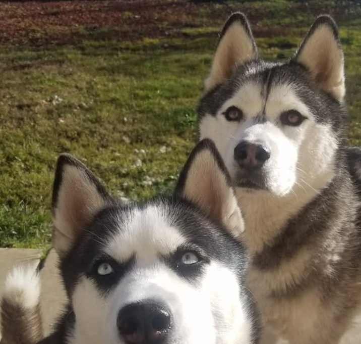 Photo of Sasha