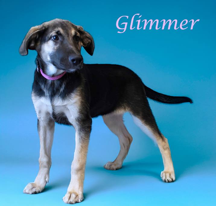 Photo of Glimmer D25-076