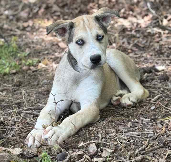 Photo of Max