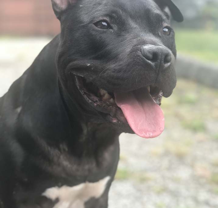 Photo of Oso