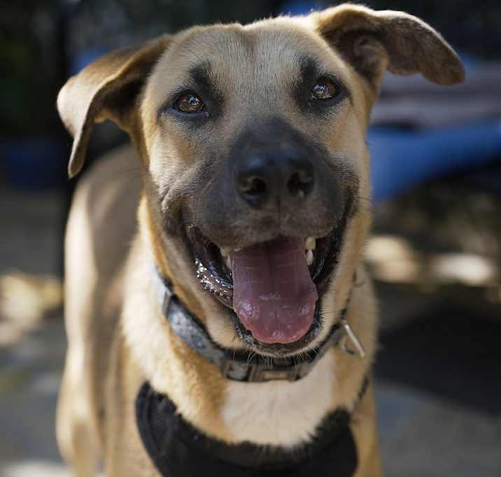 Photo of Cleo