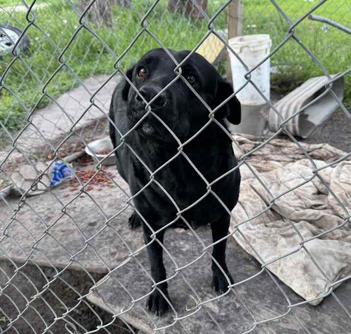 Photo of Sally