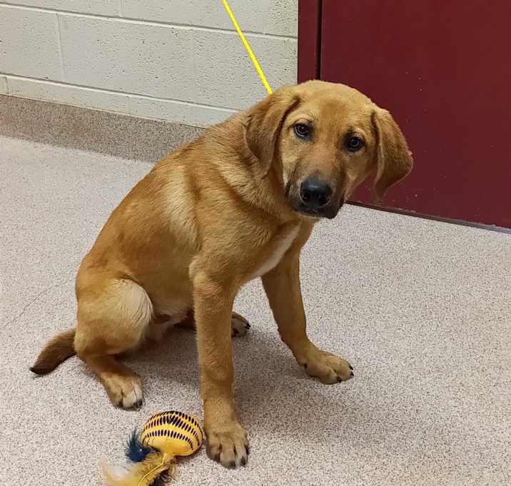 Photo of Dawg