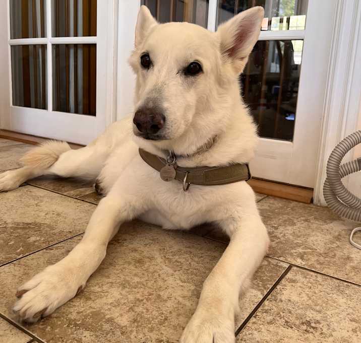 Photo of Lexi