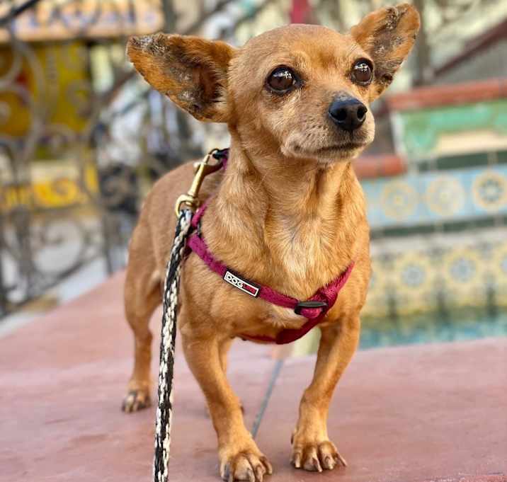 Photo of Mamsie