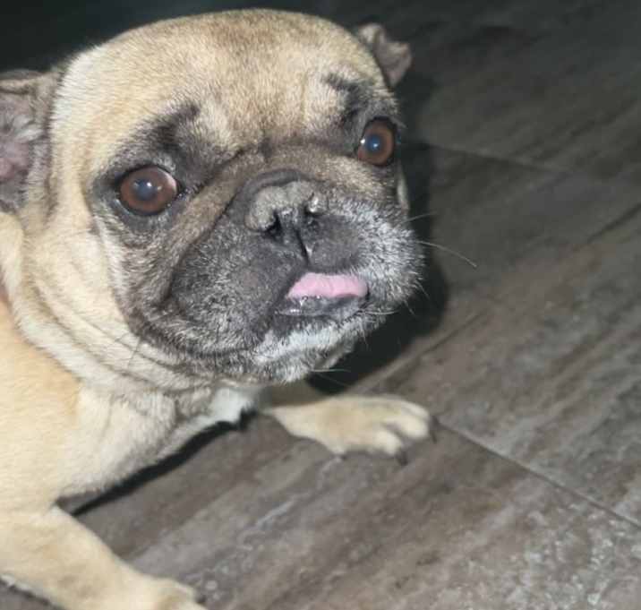 Photo of Izzy