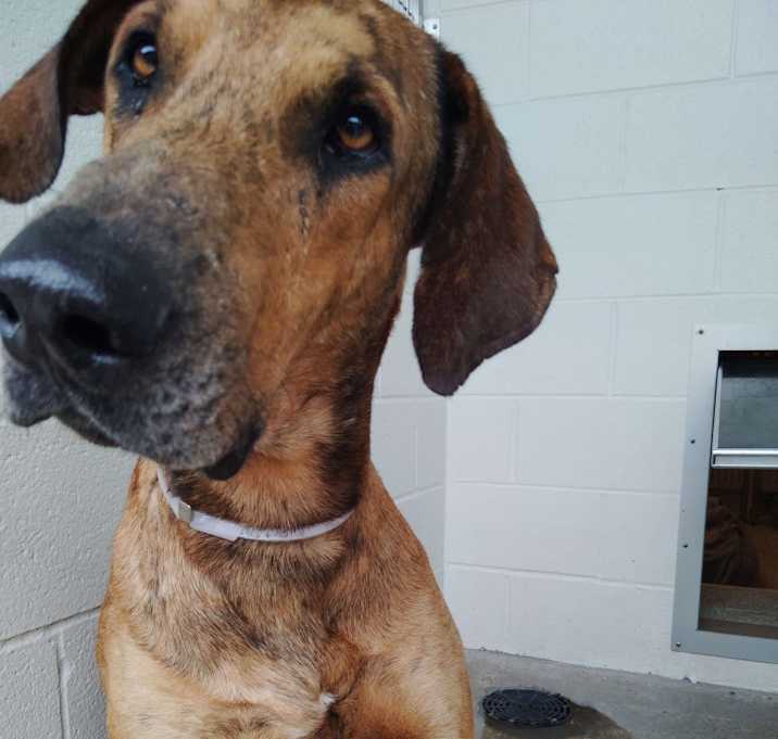 Photo of Ember