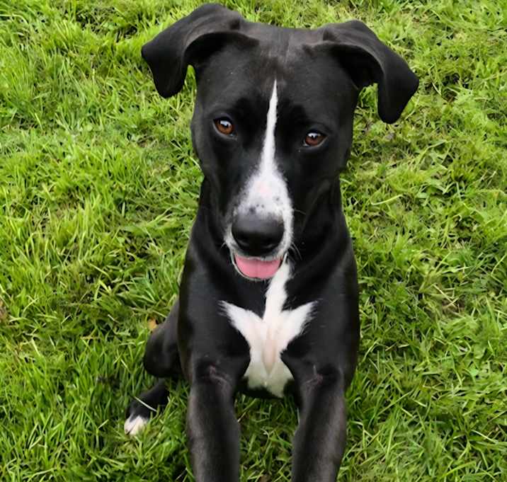 Photo of Maggie Mae