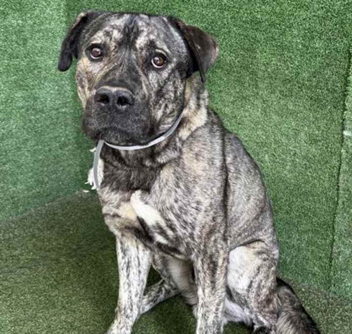 Photo of EZEKIEL