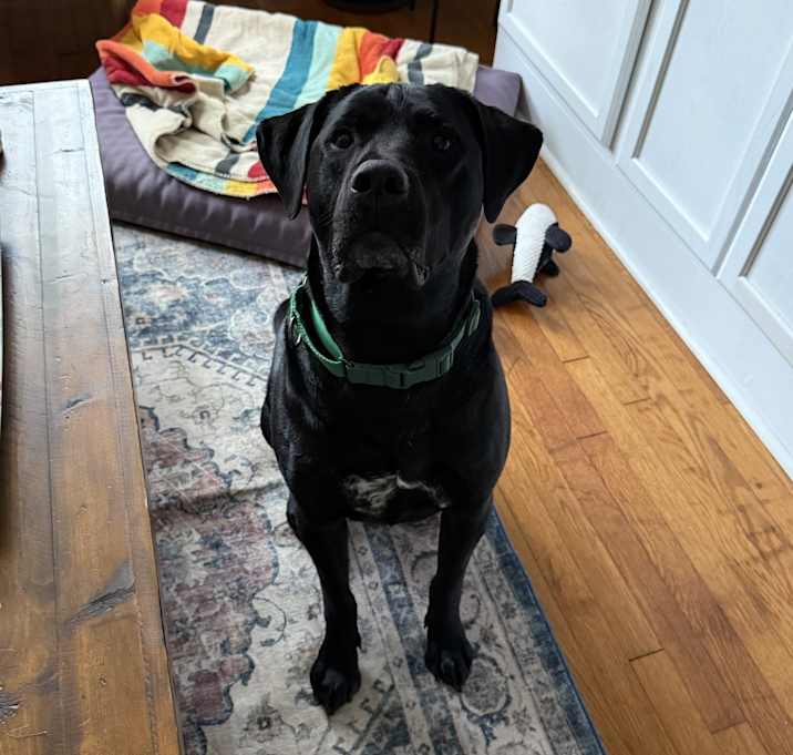 Photo of Walter