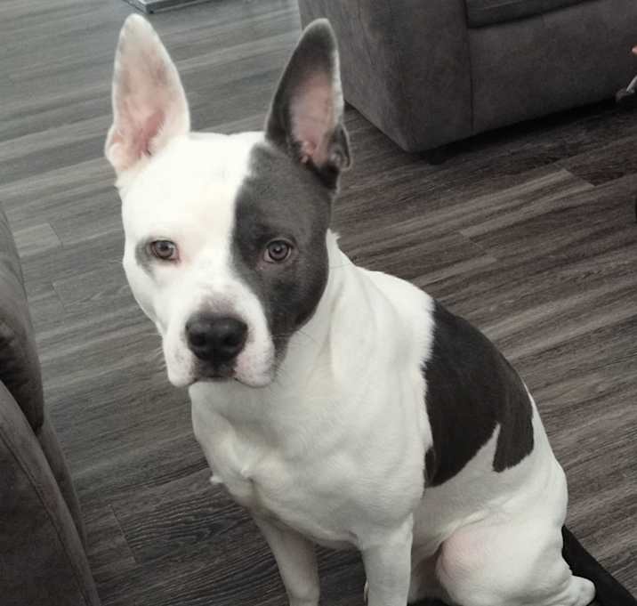 Photo of Q