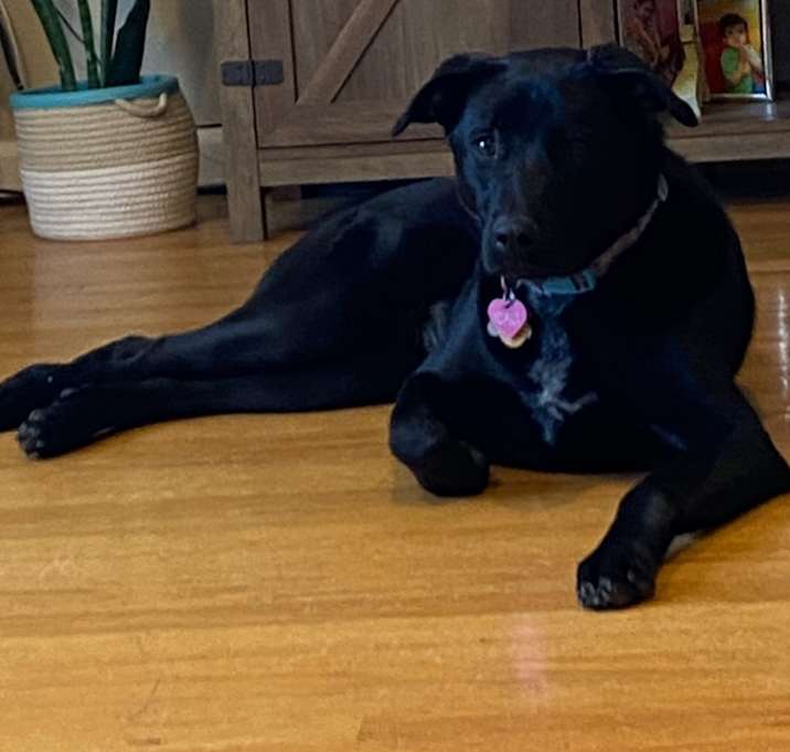 Photo of Cali