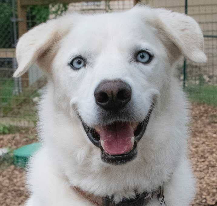 Photo of Gabe