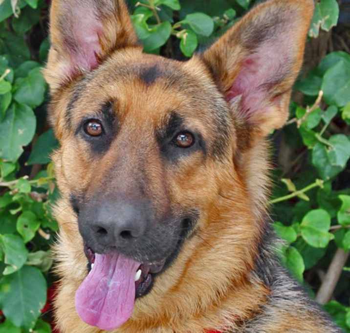 Photo of Reacher von Irving