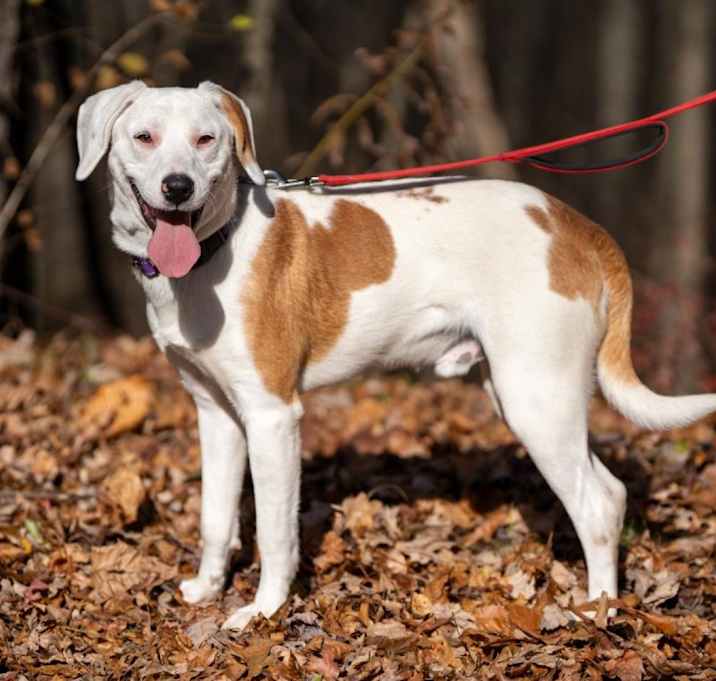 Photo of Cosmo
